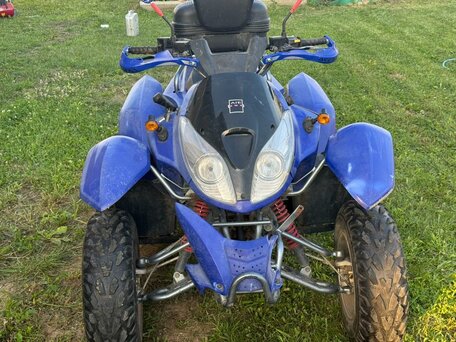 2008 AIE Motor MagMax, синий, 130000 рублей, вид 5