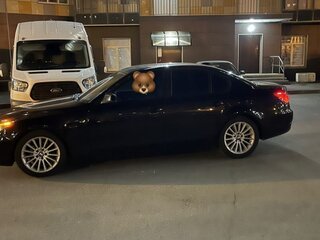 2009 BMW 5 серии 525i V (E60/E61) Рестайлинг, чёрный, 1000000 рублей, вид 2