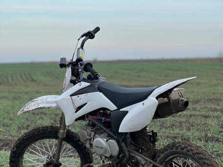 2018 Irbis TTR 125, белый, 60000 рублей, вид 1