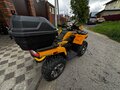 2024 Tao Motor Titan 300, жёлтый, 359000 рублей - вид 2