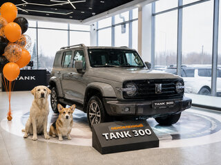 2025 Tank 300 I, серый, 5249000 рублей, вид 1