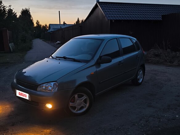 2008 Lada (ВАЗ) Kalina I, серый - вид 7