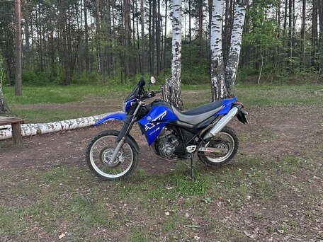 2005 Yamaha XT660R, синий, 475000 рублей, вид 3