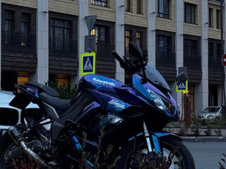 2012 Kawasaki Z 1000SX, зелёный, 700000 рублей, вид 1