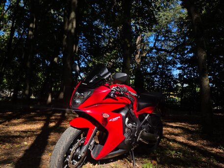 2014 Honda CBR 650F, красный, 628880 рублей, вид 4