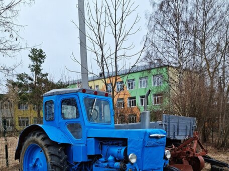 1985 ЛТЗ Т-40АМ, голубой, 550000 рублей, вид 1