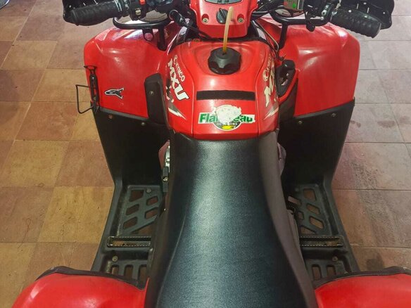 2010 Arctic Cat 300 Series, красный - вид 4