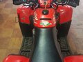 2010 Arctic Cat 300 Series, красный - вид 4