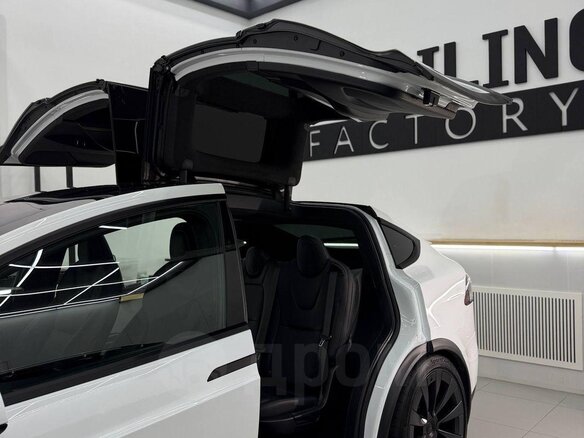 2020 Tesla Model X 100D I, белый, 6200000 рублей - вид 1