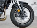 2025 Honda CB 1000 Hornet, белый, 1399000 рублей - вид 10
