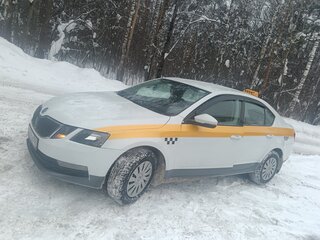 2019 Skoda Octavia III (A7) Рестайлинг, белый, 1075000 рублей, вид 3