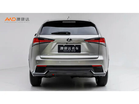 2020 Lexus NX 200 I Рестайлинг, серебристый, 2490000 рублей, вид 4