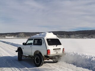 2013 Lada (ВАЗ) 2121 (4x4) Bronto I Рестайлинг, белый, 620000 рублей, вид 5