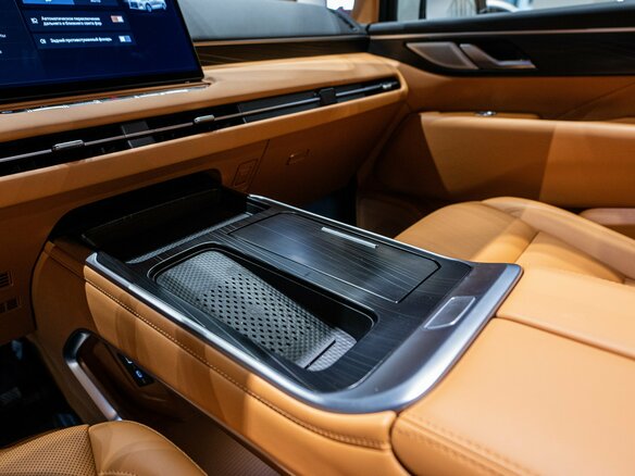 2024 Wey 80 Premium 37.96 kWh, золотистый, 6899000 рублей - вид 28