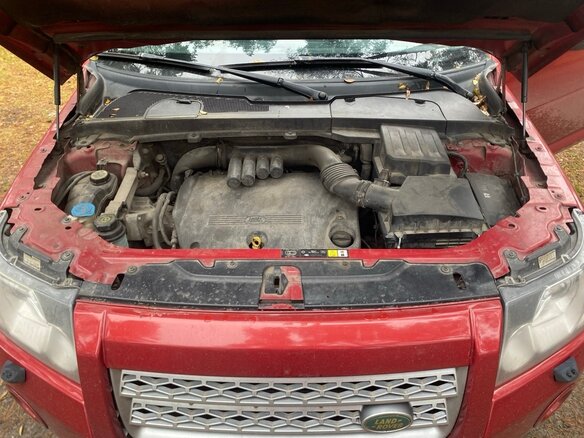 2008 Land Rover Freelander II, красный, 960000 рублей - вид 14