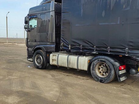 2014 DAF XF, серый, 4900000 рублей, вид 2