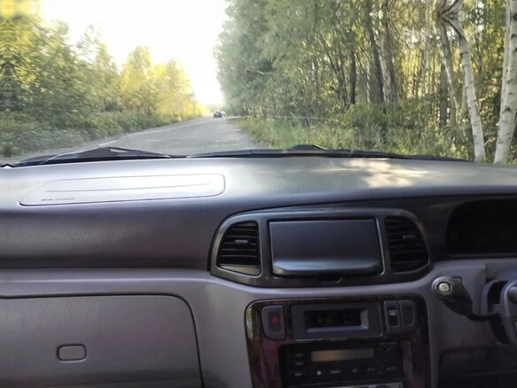 2000 Nissan Liberty, серый, 320000 рублей - вид 5