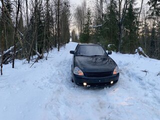2009 Lada (ВАЗ) Priora I, зелёный, 290000 рублей, вид 3