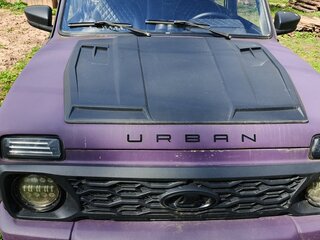 2001 Lada (ВАЗ) 2121 (4x4) I Рестайлинг, фиолетовый, 320000 рублей, вид 1