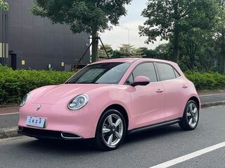 2023 Ora Good Cat 47.8 kWh I, розовый, 1310000 рублей, вид 1