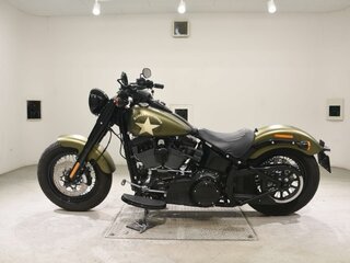 2017 Harley-Davidson Softail Slim, зелёный, 1315000 рублей, вид 1