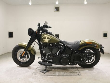 2017 Harley-Davidson Softail Slim, зелёный, 1315000 рублей, вид 1