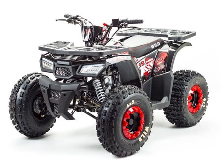 2026 Motoland ATV 150 Wild, чёрный, 145000 рублей, вид 1