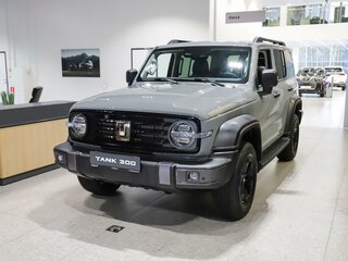 2024 Tank 300 I, серый, 4599000 рублей, вид 1