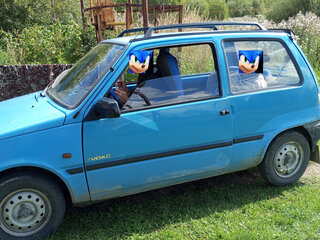 2004 Lada (ВАЗ) 1111 Ока КамАЗ, голубой, 111111 рублей, вид 3