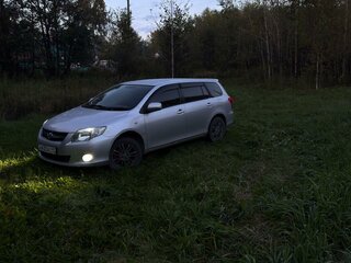 2010 Toyota Corolla Fielder X (E140, E150) Рестайлинг, серый, 1100000 рублей, вид 3