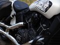 2016 Indian Scout, белый, 650000 рублей - вид 3