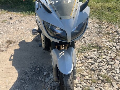 2003 Yamaha FZS1000 Fazer, серый, 300000 рублей, вид 5