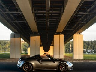 2015 Alfa Romeo 4C, серый, 5300000 рублей, вид 2