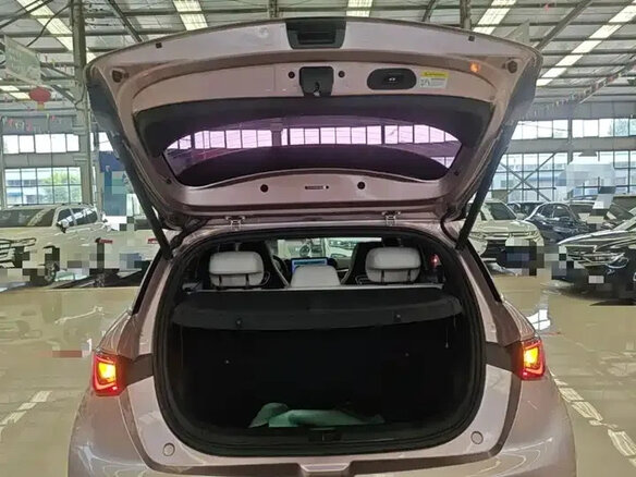 2022 BYD Dolphin 44.9 kWh I, розовый - вид 17