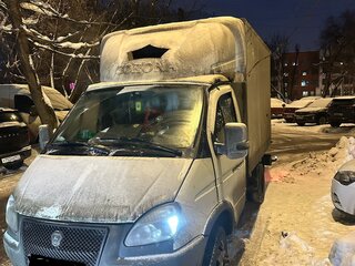 2010 ГАЗ ГАЗель (3302), белый, 1300000 рублей, вид 4