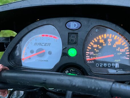 2023 Racer Panther, зелёный, 100000 рублей, вид 3
