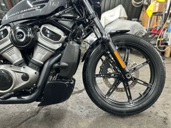 2023 Harley-Davidson Nightster, серый, 920000 рублей - вид 14