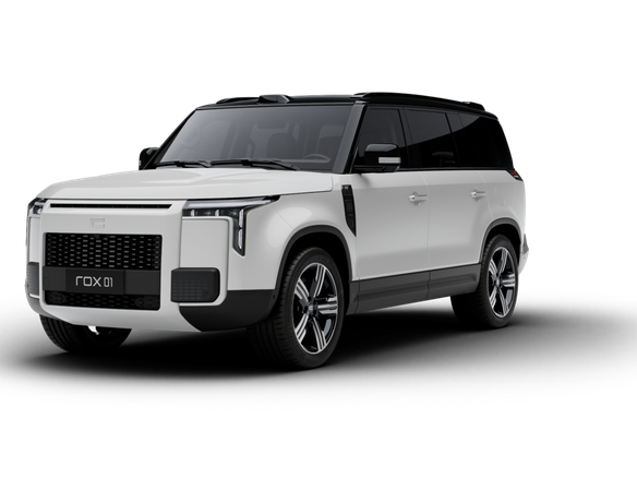 2025 Rox 01, белый