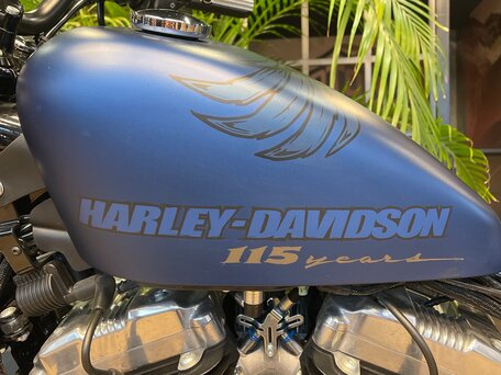 2018 Harley-Davidson Sportster 1200, синий, 1700000 рублей, вид 3