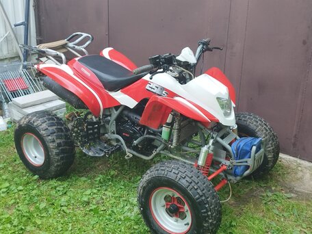 2014 Irbis ATV 250S, красный, 150000 рублей, вид 2