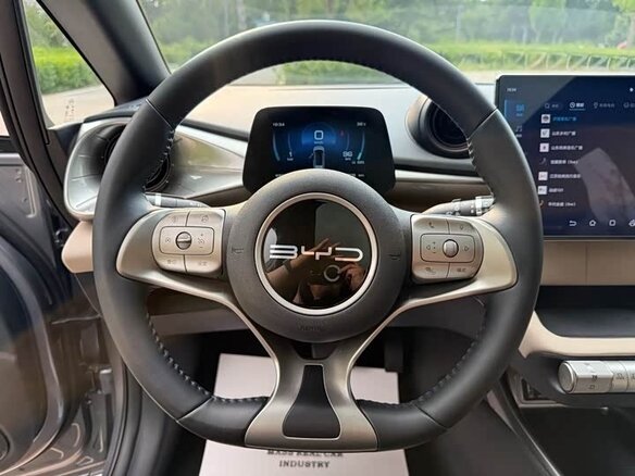 2024 BYD Dolphin 44.9 kWh I, серый, 1950000 рублей - вид 8
