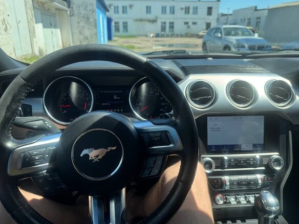 2019 Ford Mustang VI Рестайлинг, серый, 1950000 рублей - вид 15