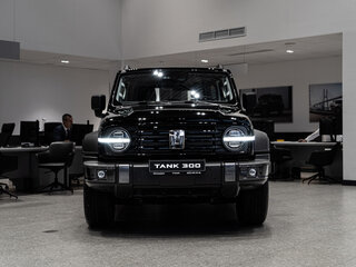 2026 Tank 300 I, чёрный, 4499000 рублей, вид 2