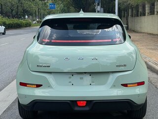 2022 Ora Good Cat 46 kWh I, зелёный, 1565000 рублей, вид 5
