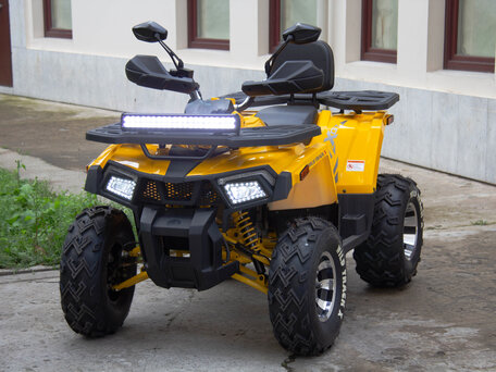 2024 Motoland Wild Track 200 X Pro, жёлтый, 274090 рублей, вид 1