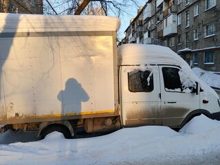 2008 ГАЗ ГАЗель (33023/330273) Фермер, белый, 650000 рублей, вид 5