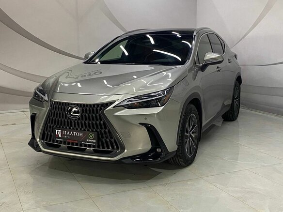 2022 Lexus NX 250 II, серый