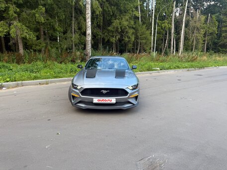 2022 Ford Mustang VI Рестайлинг, серый, 2995000 рублей, вид 3