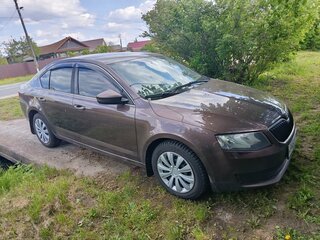 2014 Skoda Octavia III (A7), коричневый, 780000 рублей, вид 2