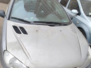 2000 Peugeot 206, серый, 100000 рублей, вид 1
